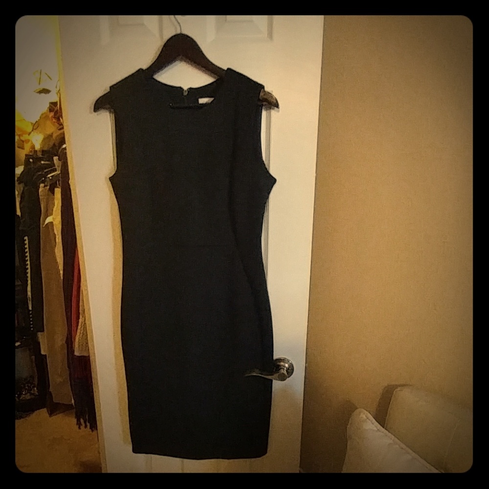 Calvin Klein (scuba) Black Sheath